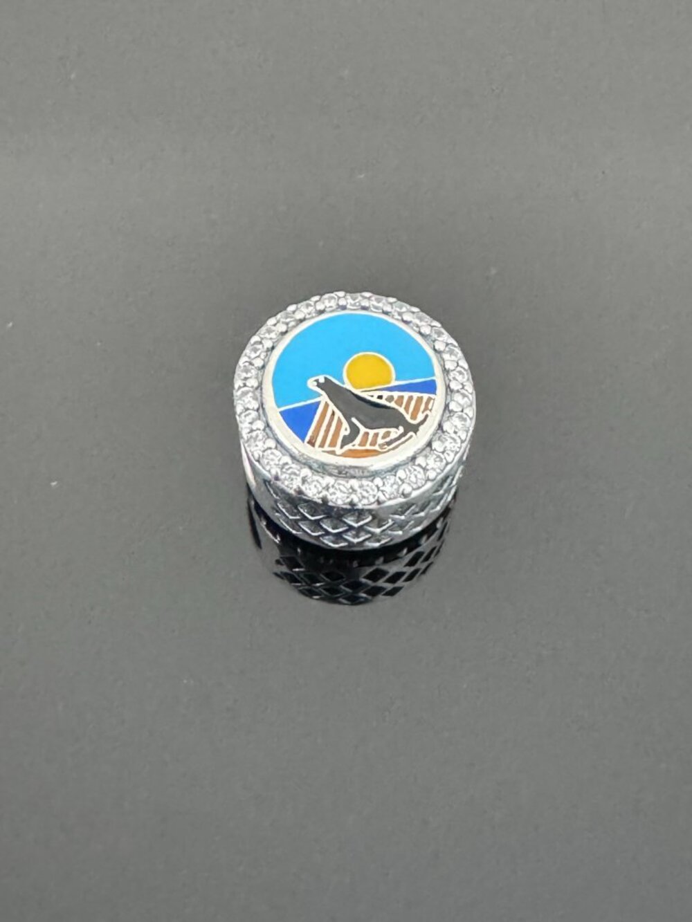 Pandora San Diego Bead Charm Exclusive - Picture 2 of 9